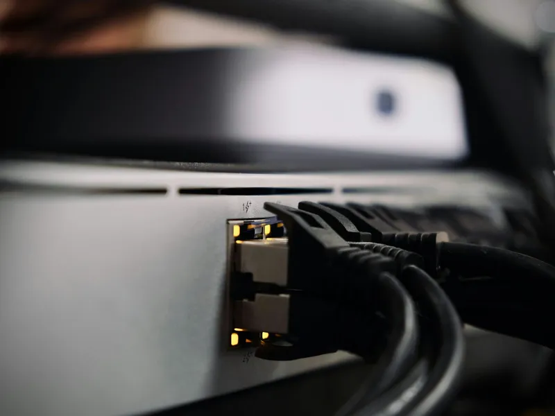 Ethernet cables connected to a network device